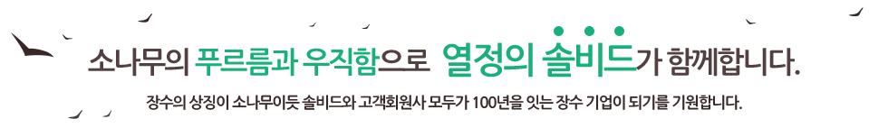 소나무의 푸르름과 우직함으로 열정의 솔비드가 함께합니다